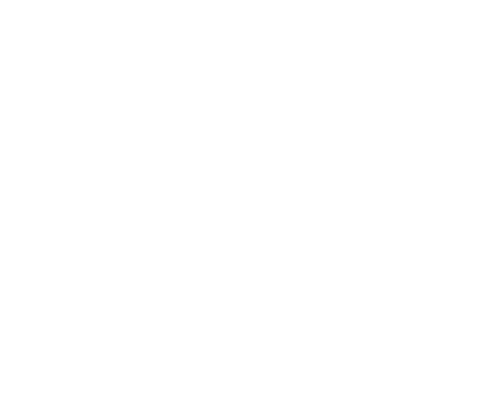 section 01 pattern