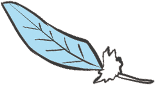 section 03 feather01